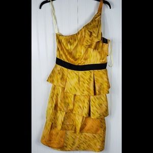 Beautiful  Dress from The Limited. New With Tags